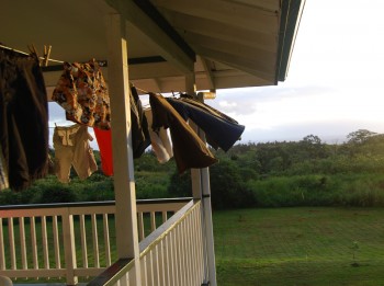 pohoiki road laundry day