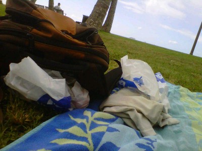 Kapiolani towel in the grass 2011