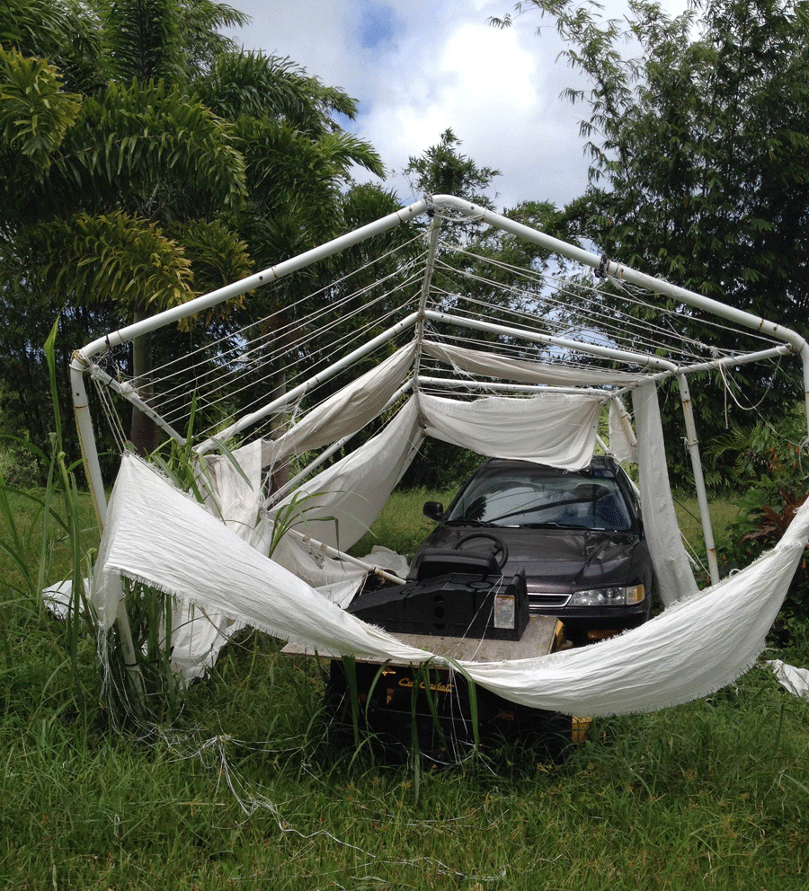 The carport tent, post-Iselle