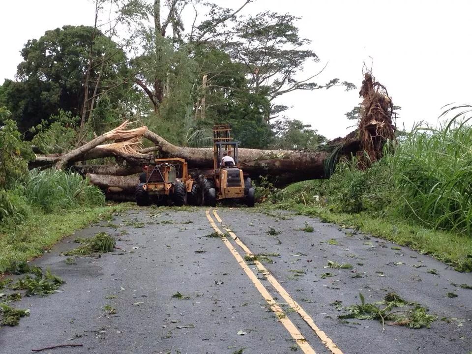 pohoiki road, after Iselle